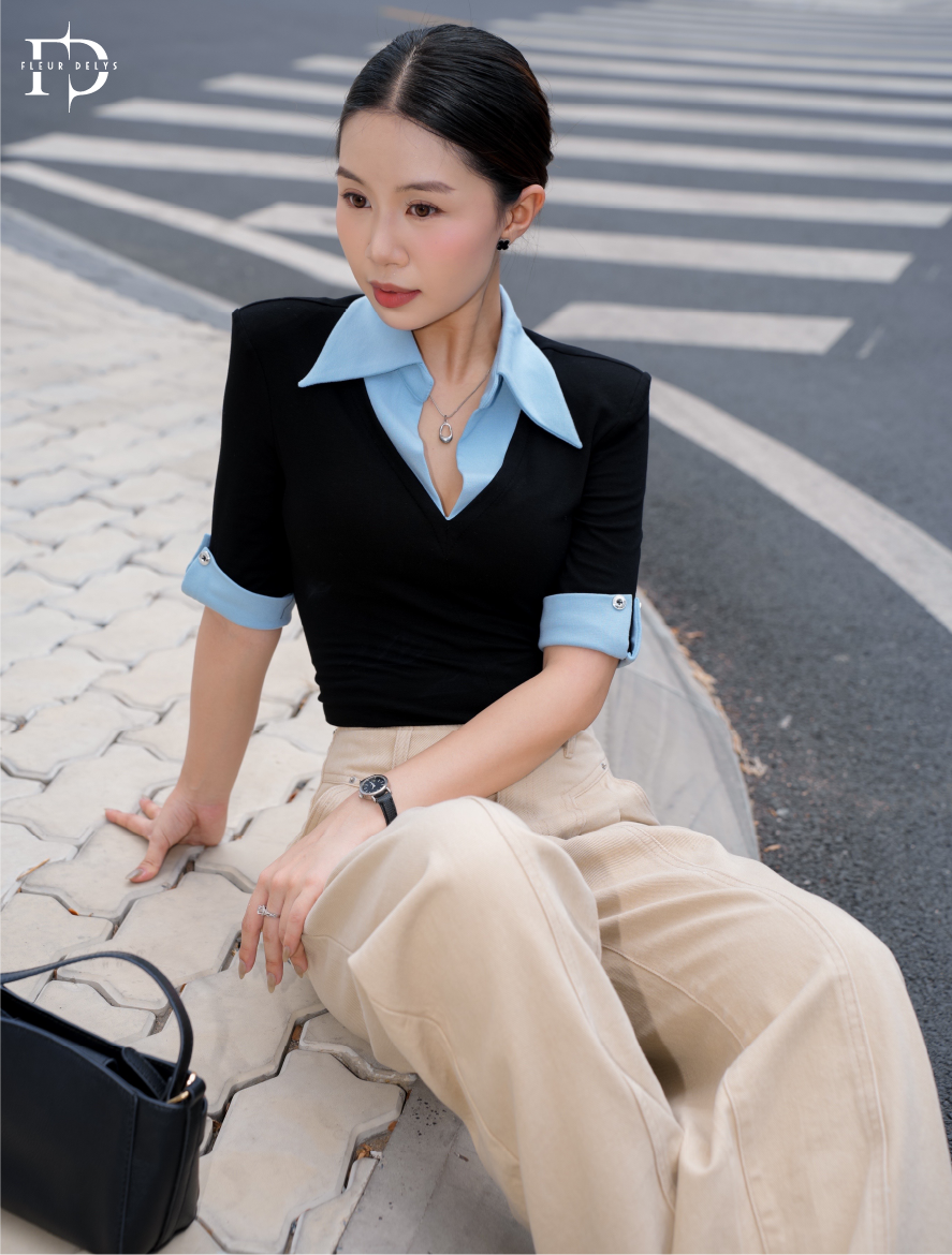 Áo Zip Cổ V Phối Cổ Đức