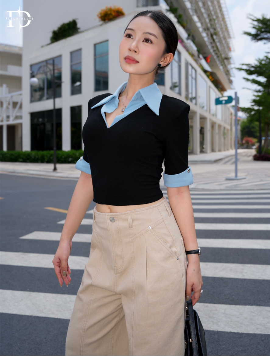 Áo Zip Cổ V Phối Cổ Đức
