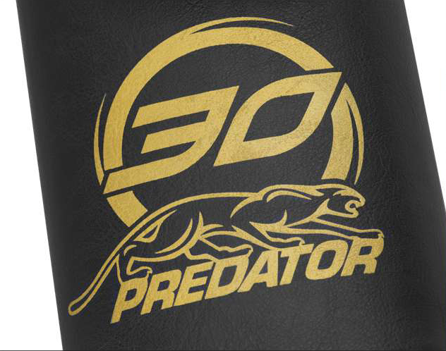 Bao đựng cơ Predator Roadline Black / Gold cứng - 2 chuôi 4 ngọn