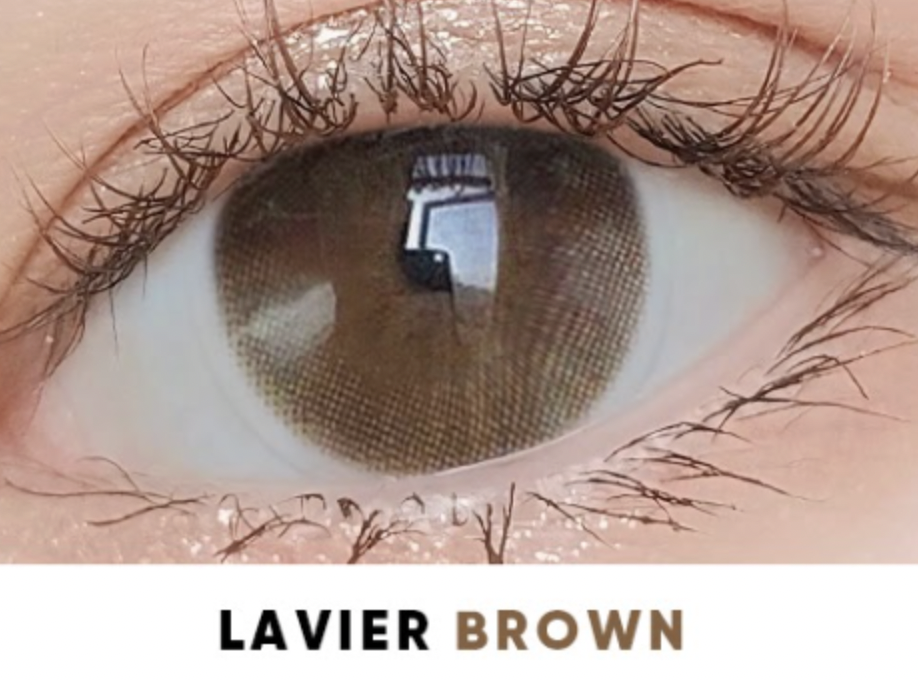 [1 Chiếc] - KÍNH ÁP TRÒNG 3 THÁNG - LAVIER BROWN