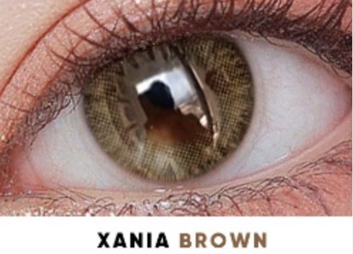 [1 Chiếc] - KÍNH ÁP TRÒNG 3 THÁNG - XANIA BROWN