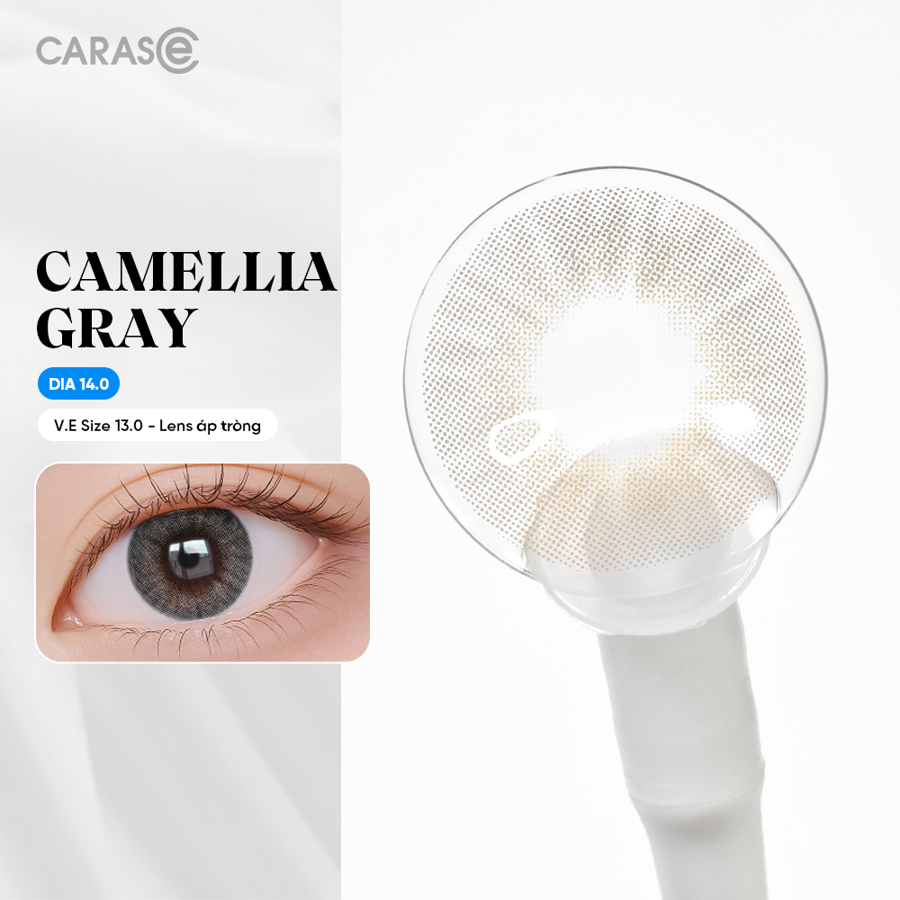 [1 Chiếc] - Kính áp tròng 1 tháng - CAMELLIA GRAY