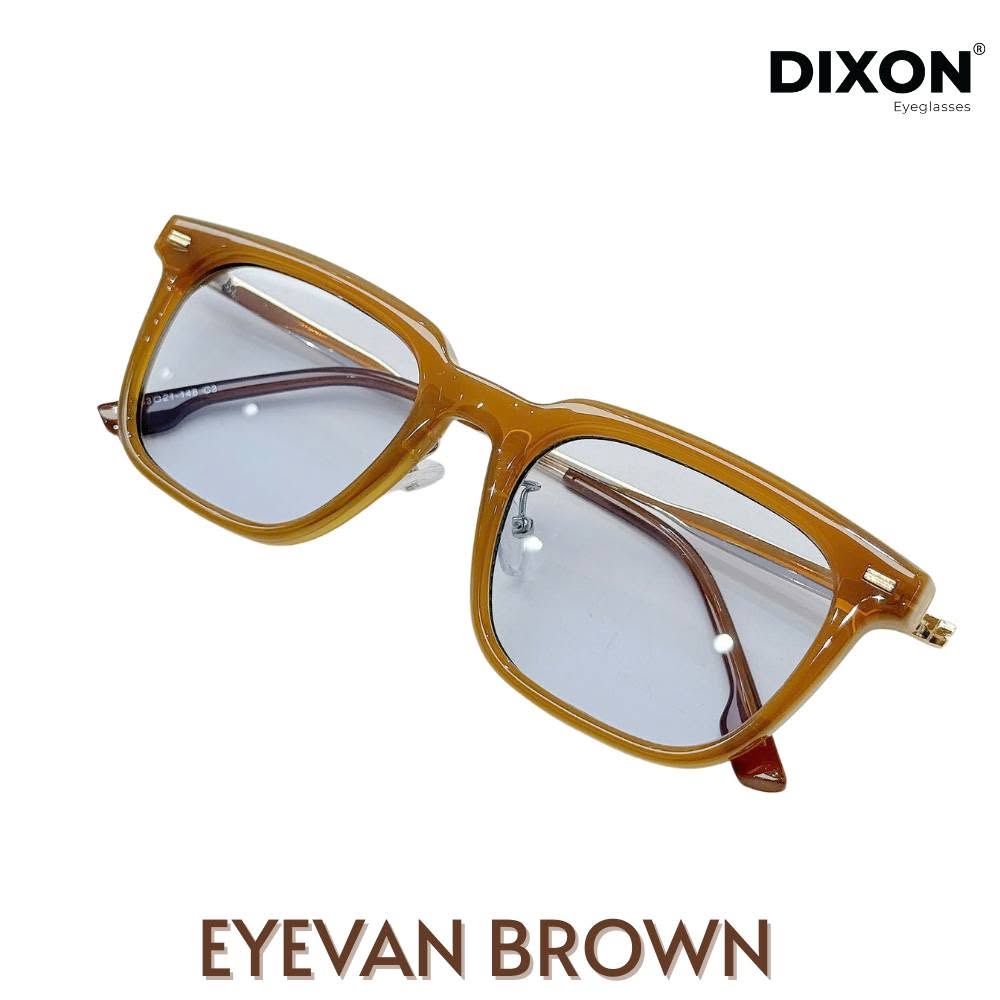 Kính Mát Eyevan Brown (Acerate)