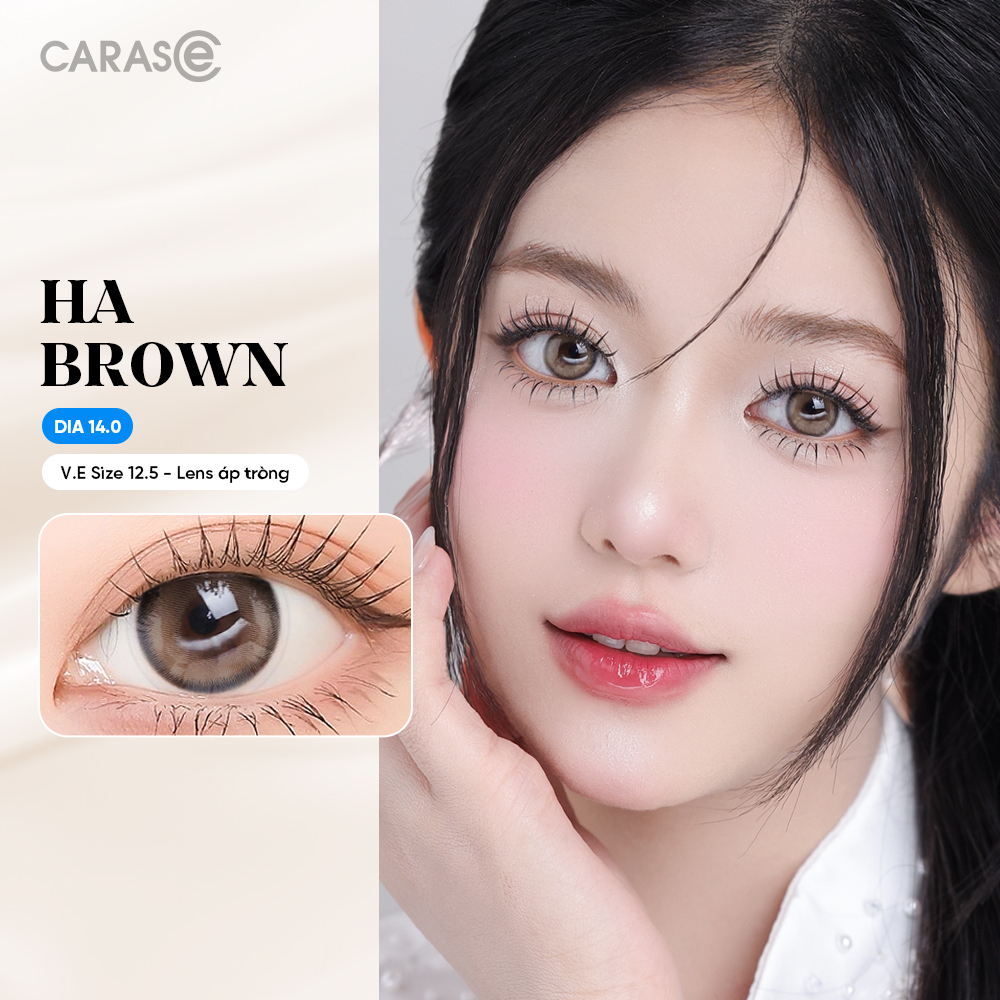 [1 Chiếc] - Kính áp tròng 3 tháng - HA BROWN BASIC