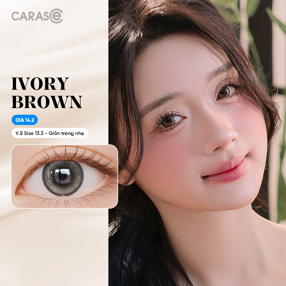[1 Chiếc] - Kính áp tròng 1 tháng - IVORY BROWN