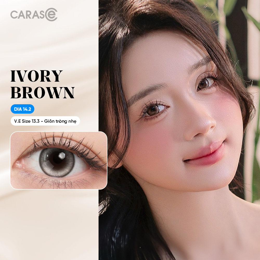 [1 Chiếc] - KÍNH ÁP TRÒNG 1 THÁNG BASIC - IVORY BROWN SIHY