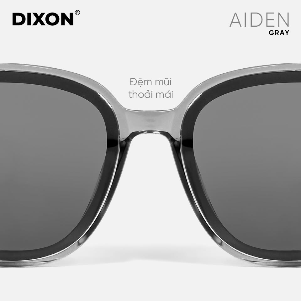Kính mát Nhựa AIDEN Gray Ver A