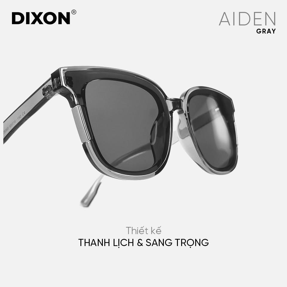 Kính mát Nhựa AIDEN Gray Ver A