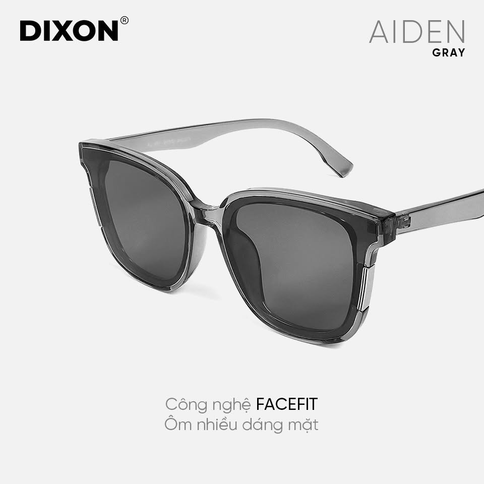Kính mát Nhựa AIDEN Gray Ver A