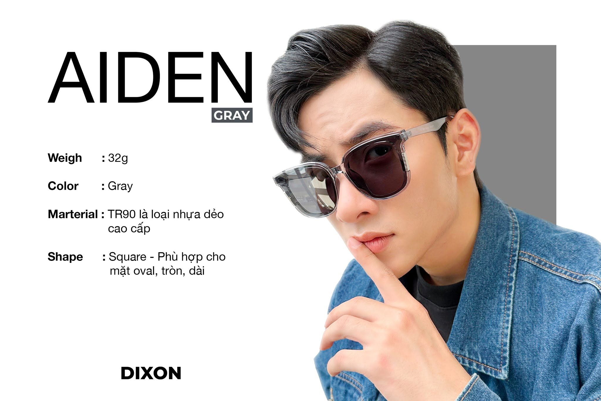 Kính mát Nhựa AIDEN Gray Ver A