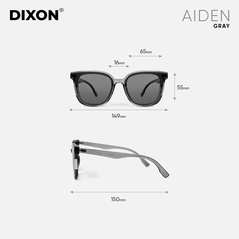 Kính mát Nhựa AIDEN Gray Ver A