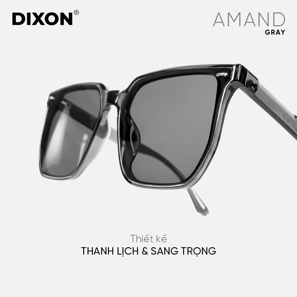 Kính mát Nhựa AMAND Gray Ver A