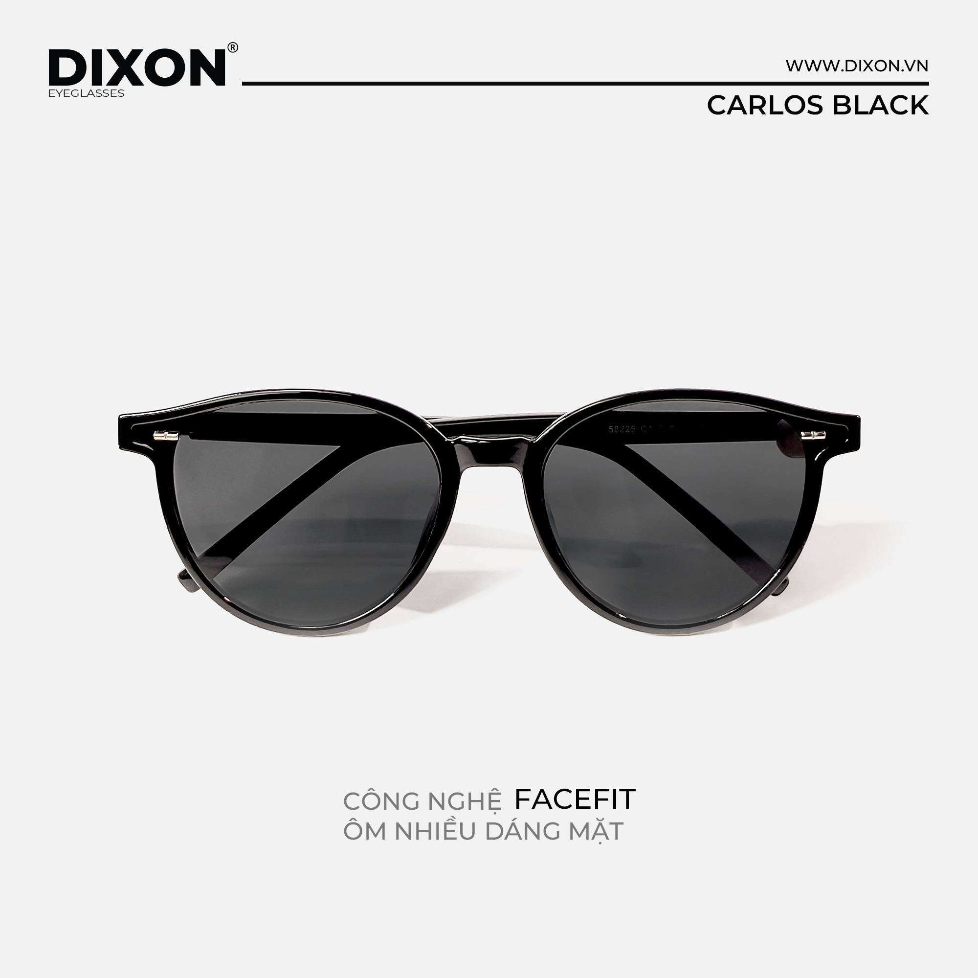 Kính mát Nhựa CARLOS Black Ver A