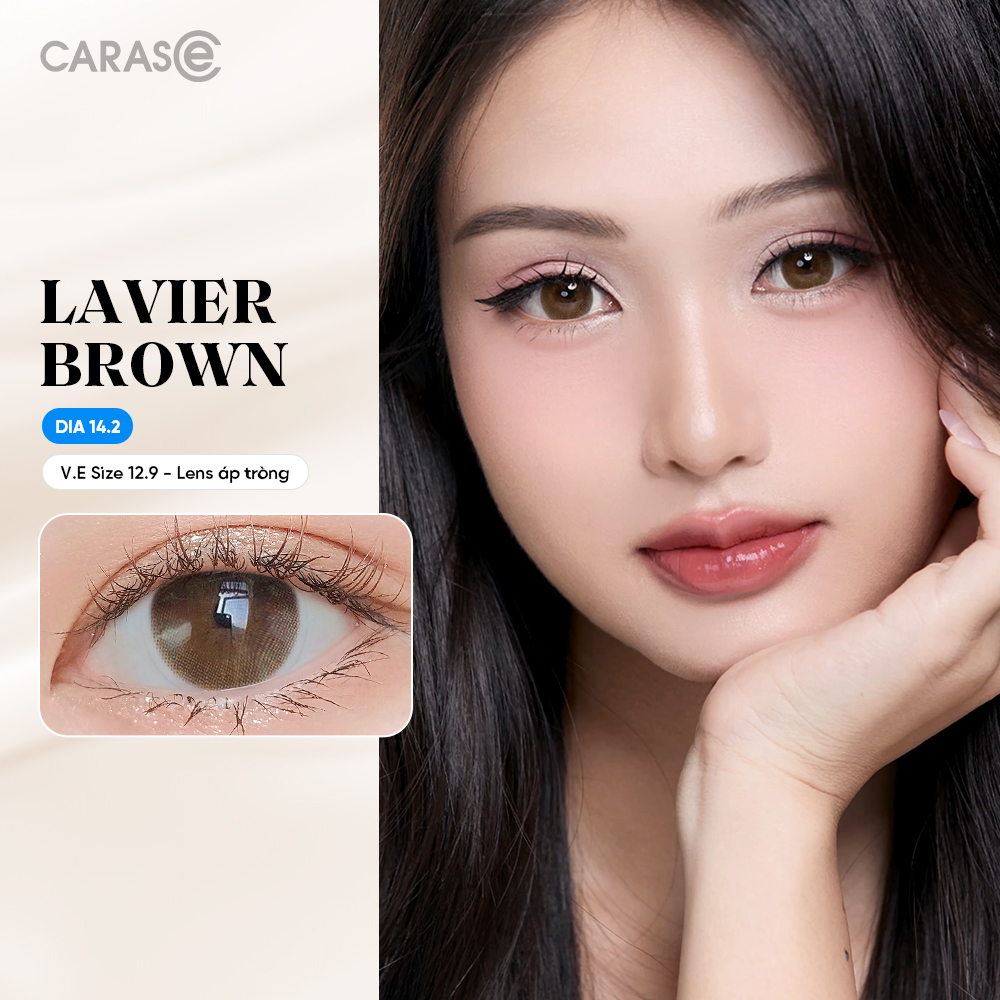 [1 Chiếc] - Kính áp tròng 1 tháng - LAVIER BROWN