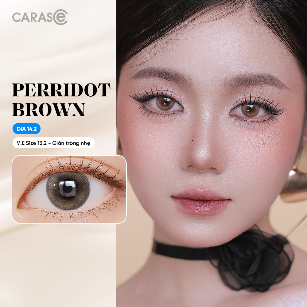 [1 Chiếc] - Kính áp tròng 1 ngày - PERRIDOT BROWN