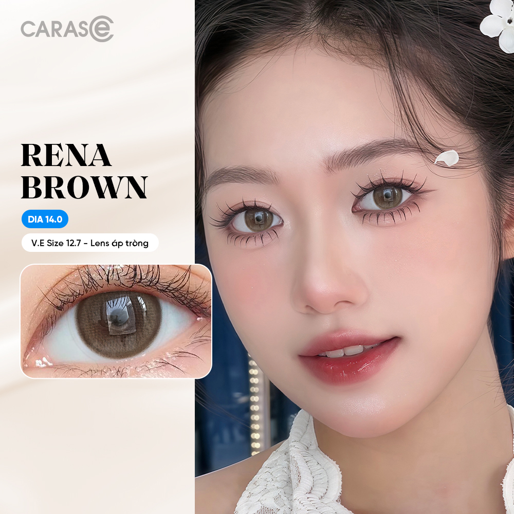 [1 Chiếc] - Kính áp tròng 3 tháng - RENA BROWN BASIC