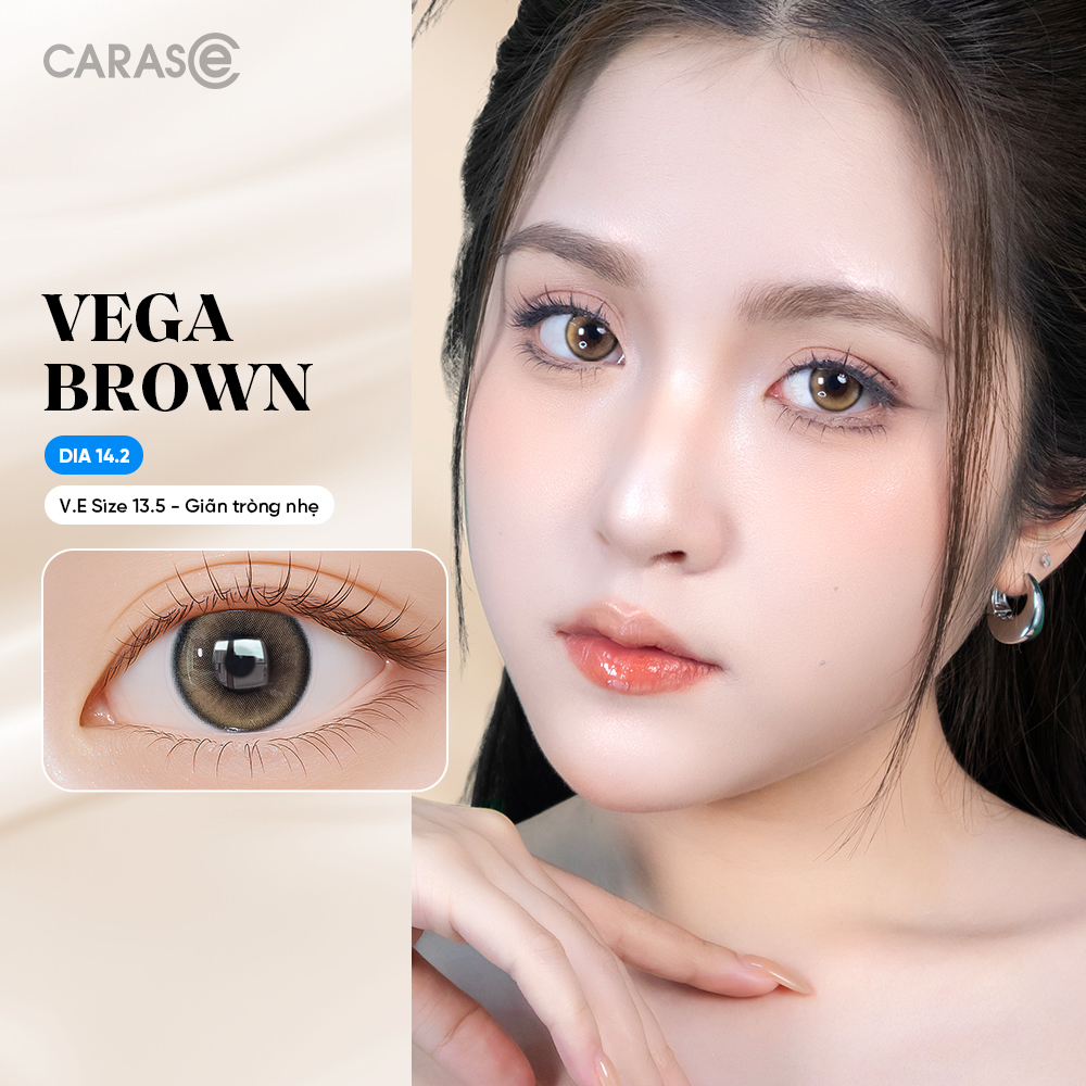 [1 Chiếc] - Kính áp tròng 1 tháng - VEGA BROWN