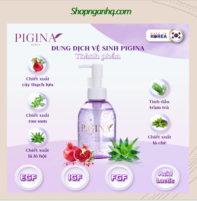 Dung dịch vệ sinh phụ nữ PIGINA