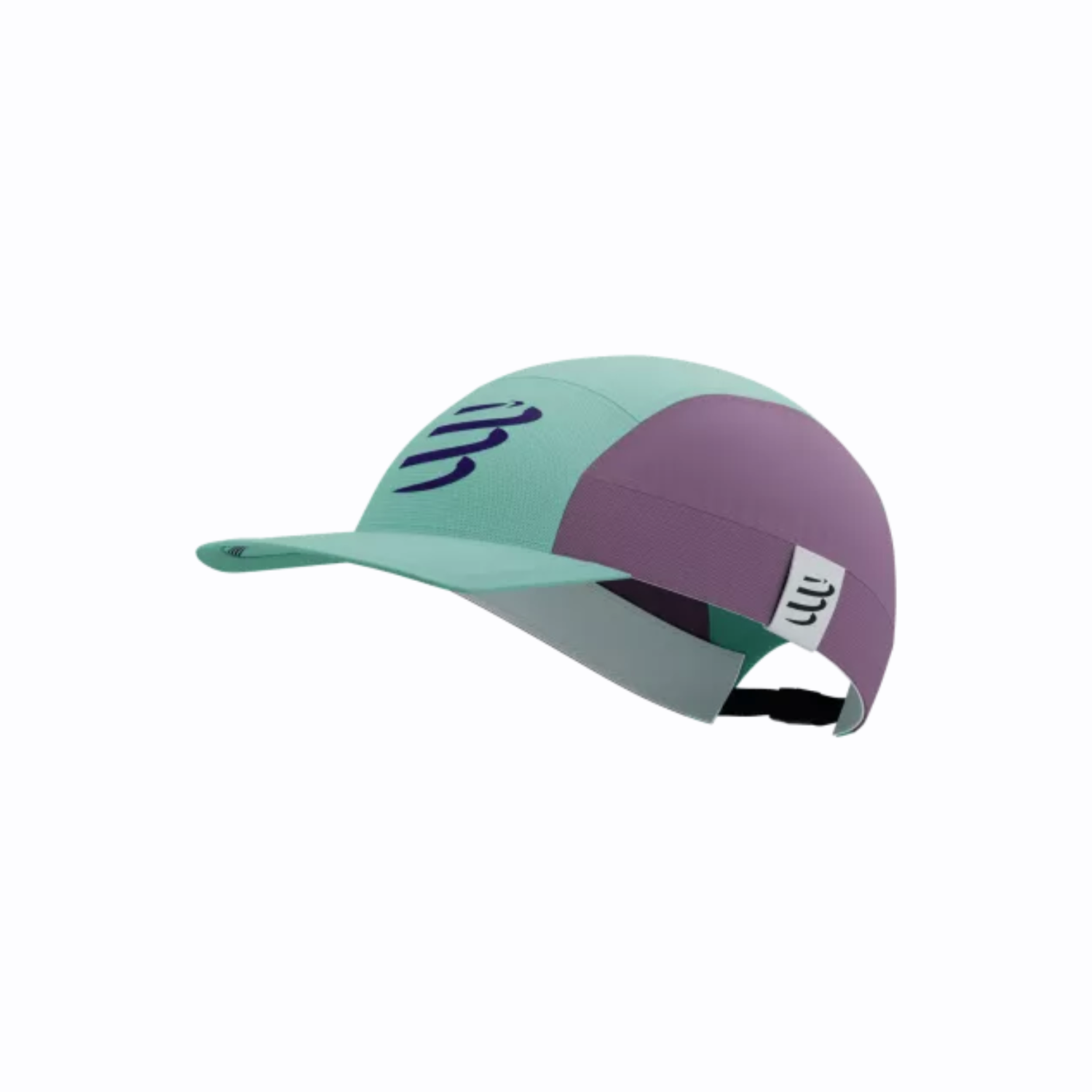 Mũ Chạy Bộ Compressport 5 Panel Light Cap - Shell Blue/Grape