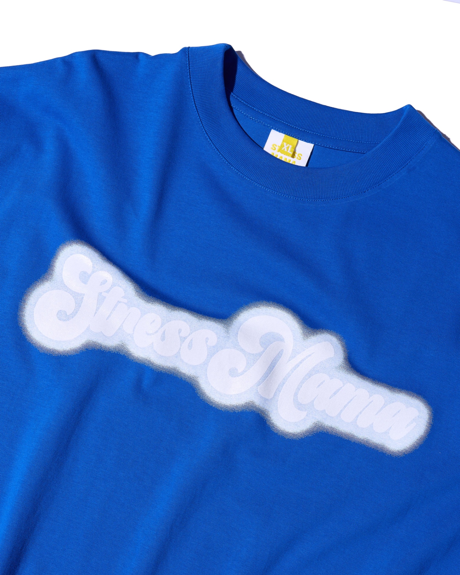 SS24 BLOSSOM T-SHIRT - BLUE