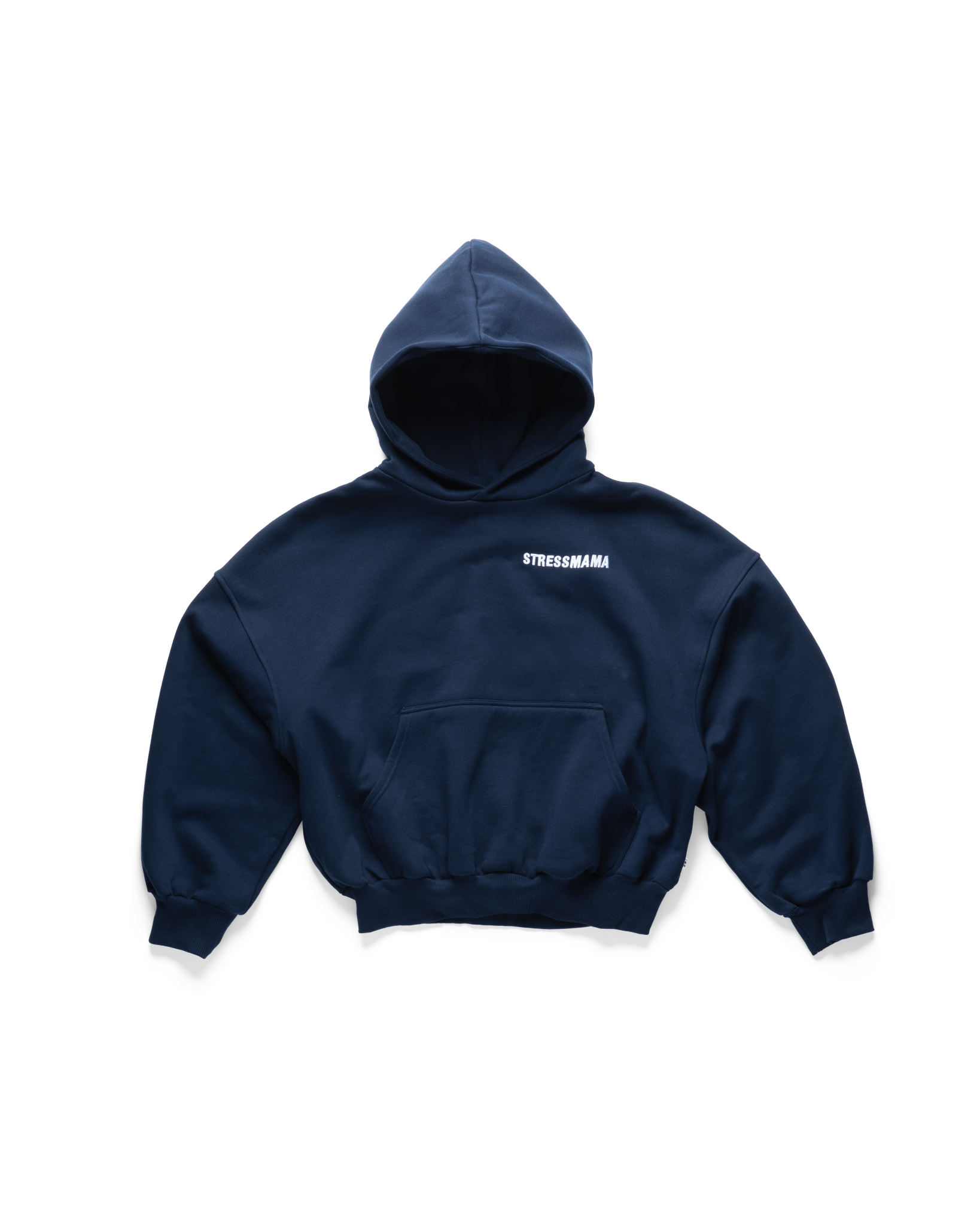 FALL24 LOGO HOODIE