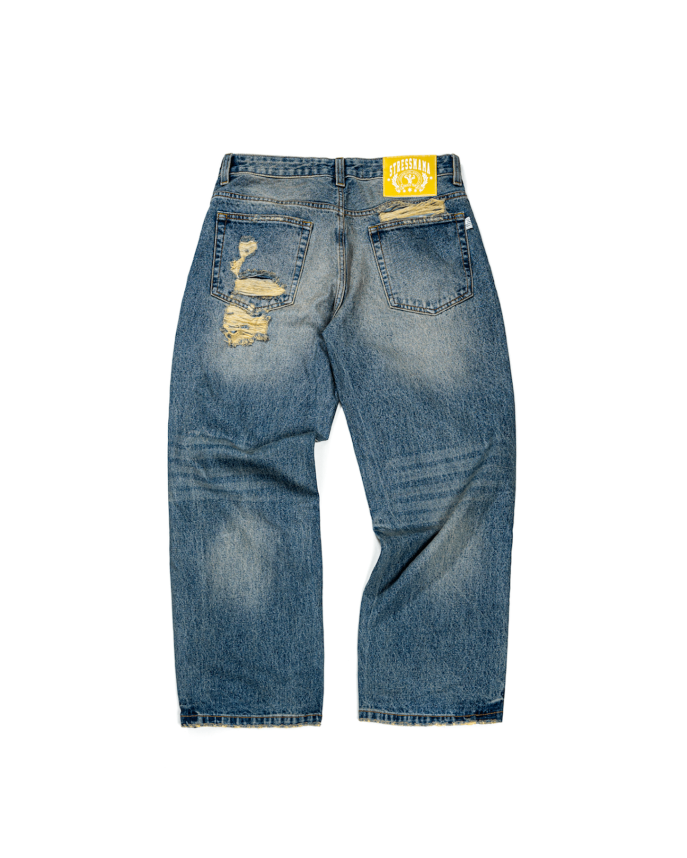 FW25 RIPPED BAGGY JEANS - BLUE