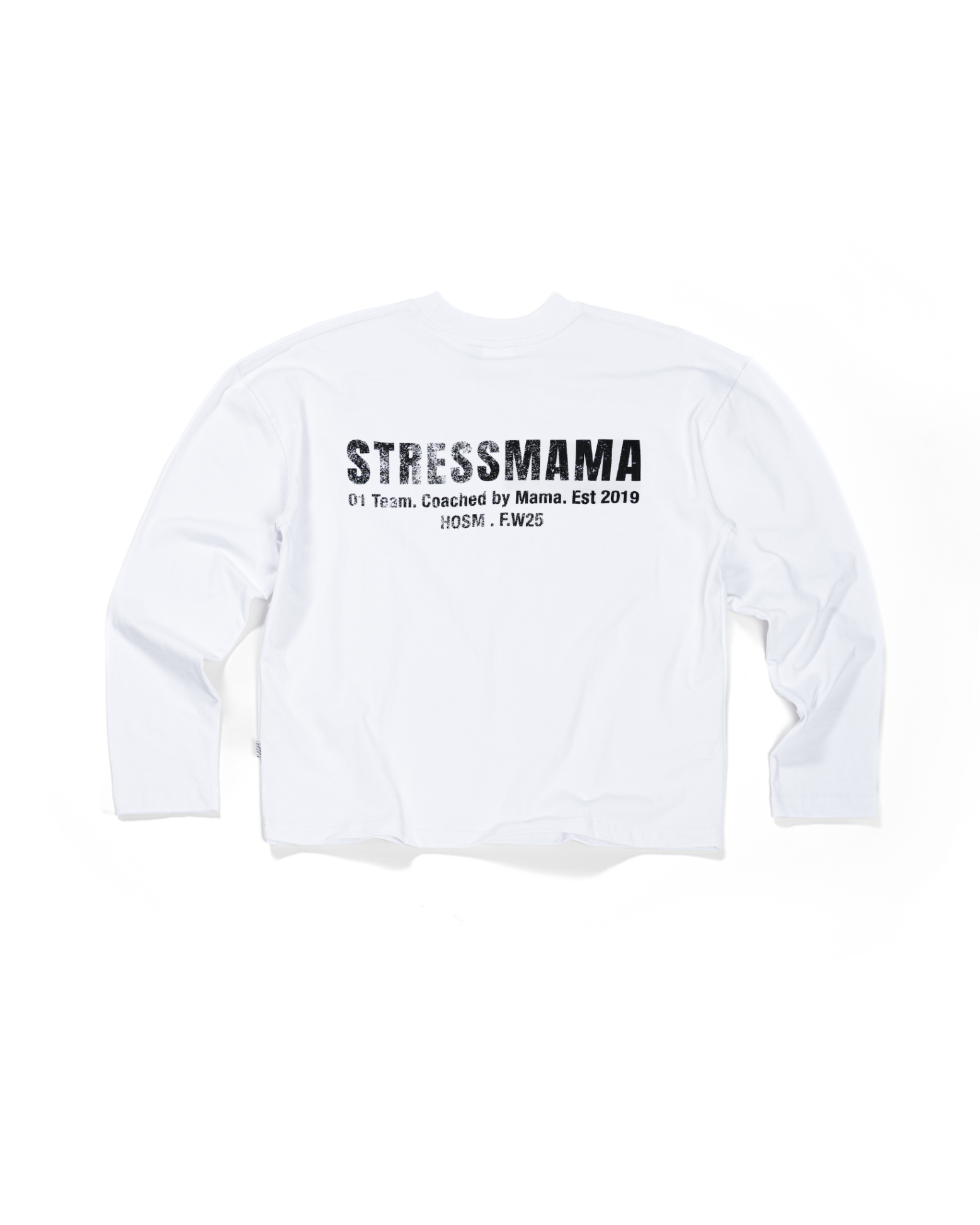FW25 REGULAR LONGSLEEVE - WHITE