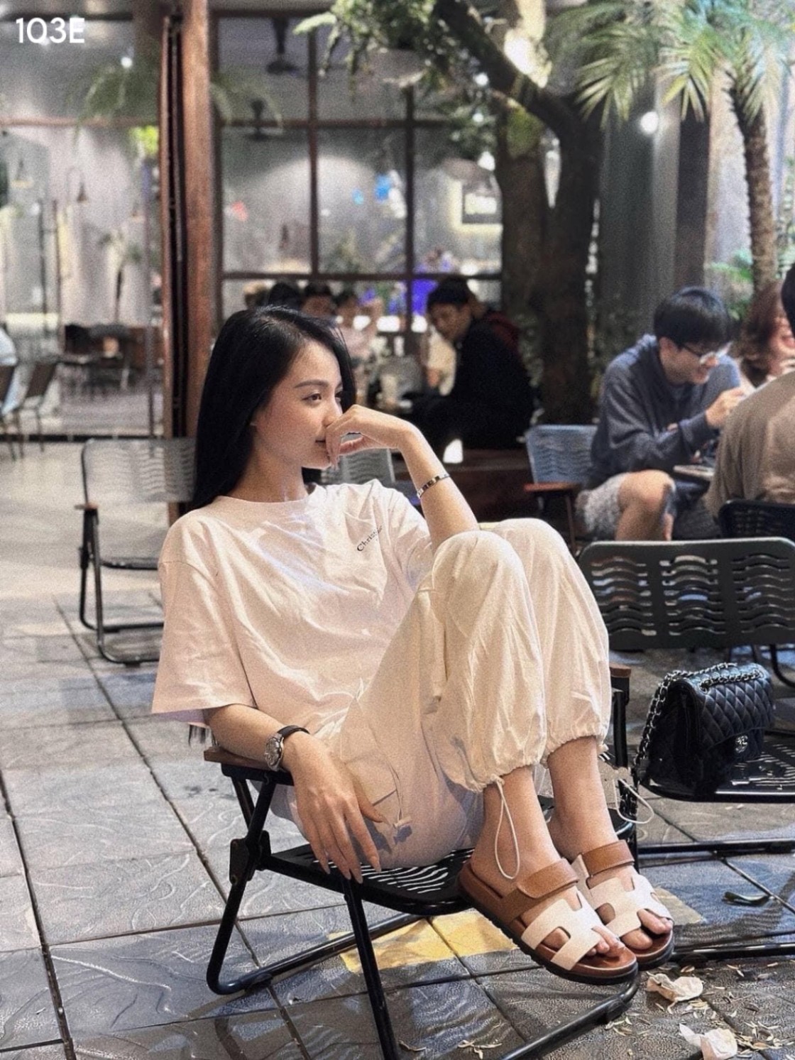 Quần jogger dù
