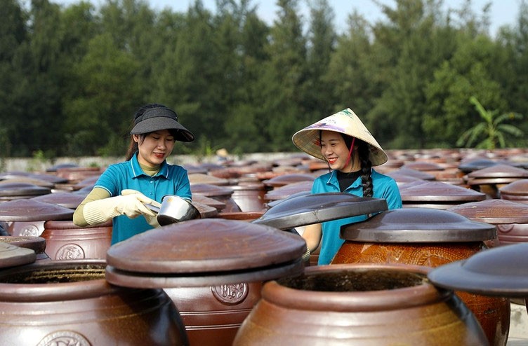 Các làng nghề nước mắm truyền thống ở Hà Tĩnh hút khách du lịch nhờ hương vị đậm đà, quy trình chế biến thủ công và trải nghiệm văn hóa độc đáo ven biển.