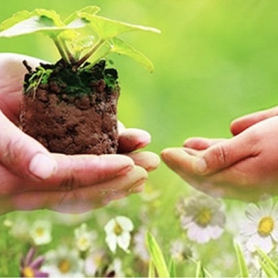 Cho người là cho mình - góc nhìn khác về bố thí