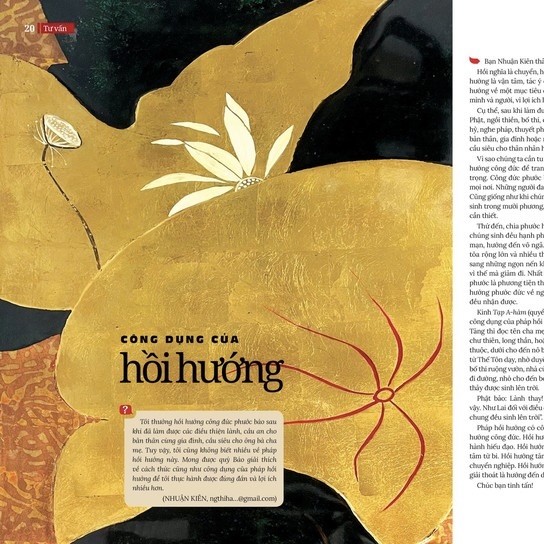Công dụng của hồi hướng