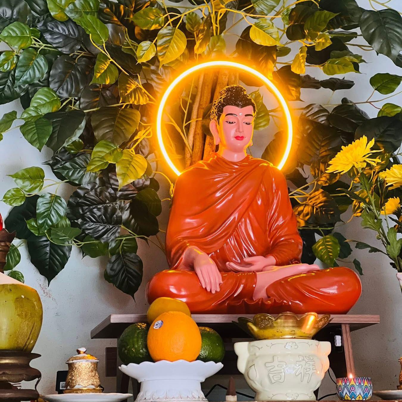 Giải thoát từ trí tuệ, không phải nhờ cầu xin