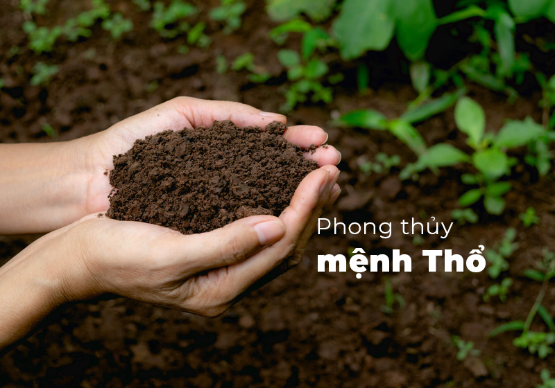 Màu gì hợp với mệnh Thổ, những màu mà mệnh Thổ nên kiêng kị