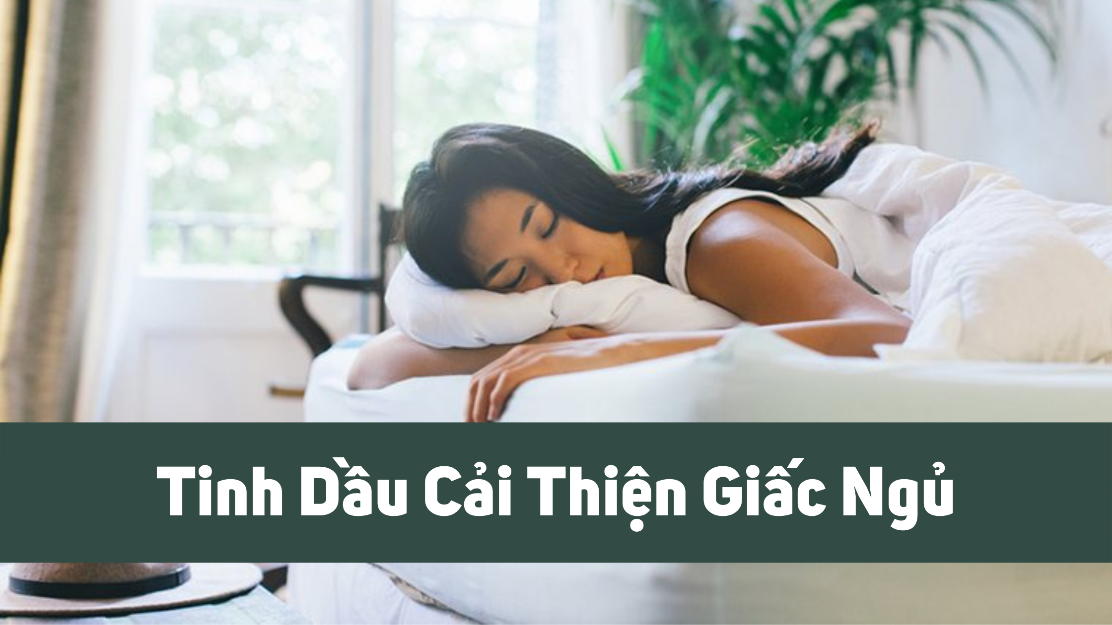TOP 4 LOẠI TINH DẦU GIÚP THƯ GIÃN, NGỦ NGON MÀ BẠN NÊN BIẾT