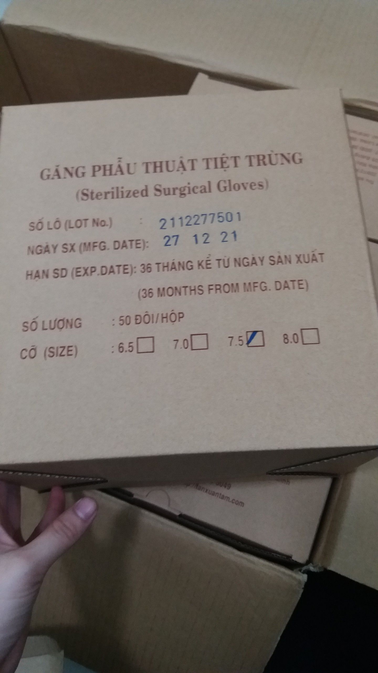 Găng tay tiệt trùng Tân Xuân Tâm (Hộp=50 đôi, Thùng=300 đôi)