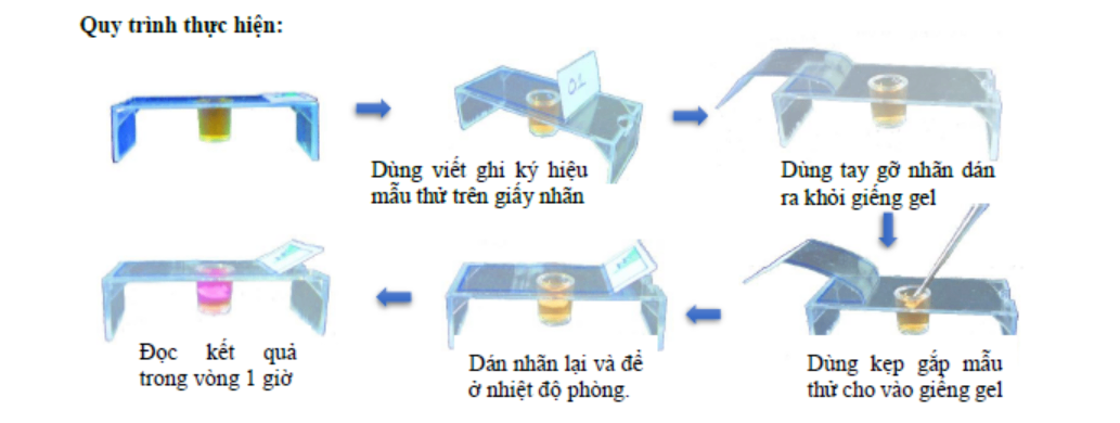 NK-PYLORI TEST, Nam khoa, Việt Nam ( Hộp = 20 test)