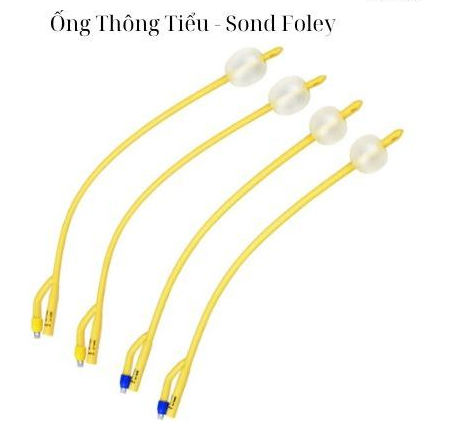 Sond Foley 2 nhánh tráng silicon các số, Yingmed, Trung Quốc (Hộp=10 cái)