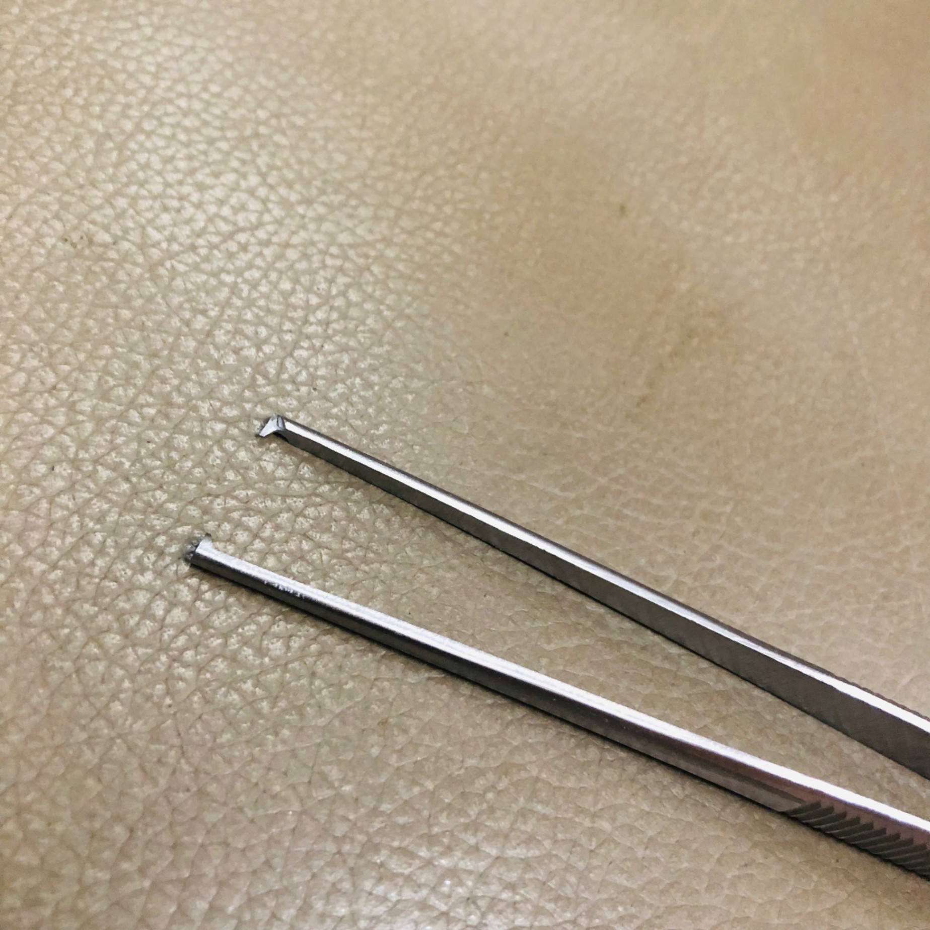 Nỉa có mấu 16cm, Prime Tech Surgico; Pakistan (Túi =1 cái)
