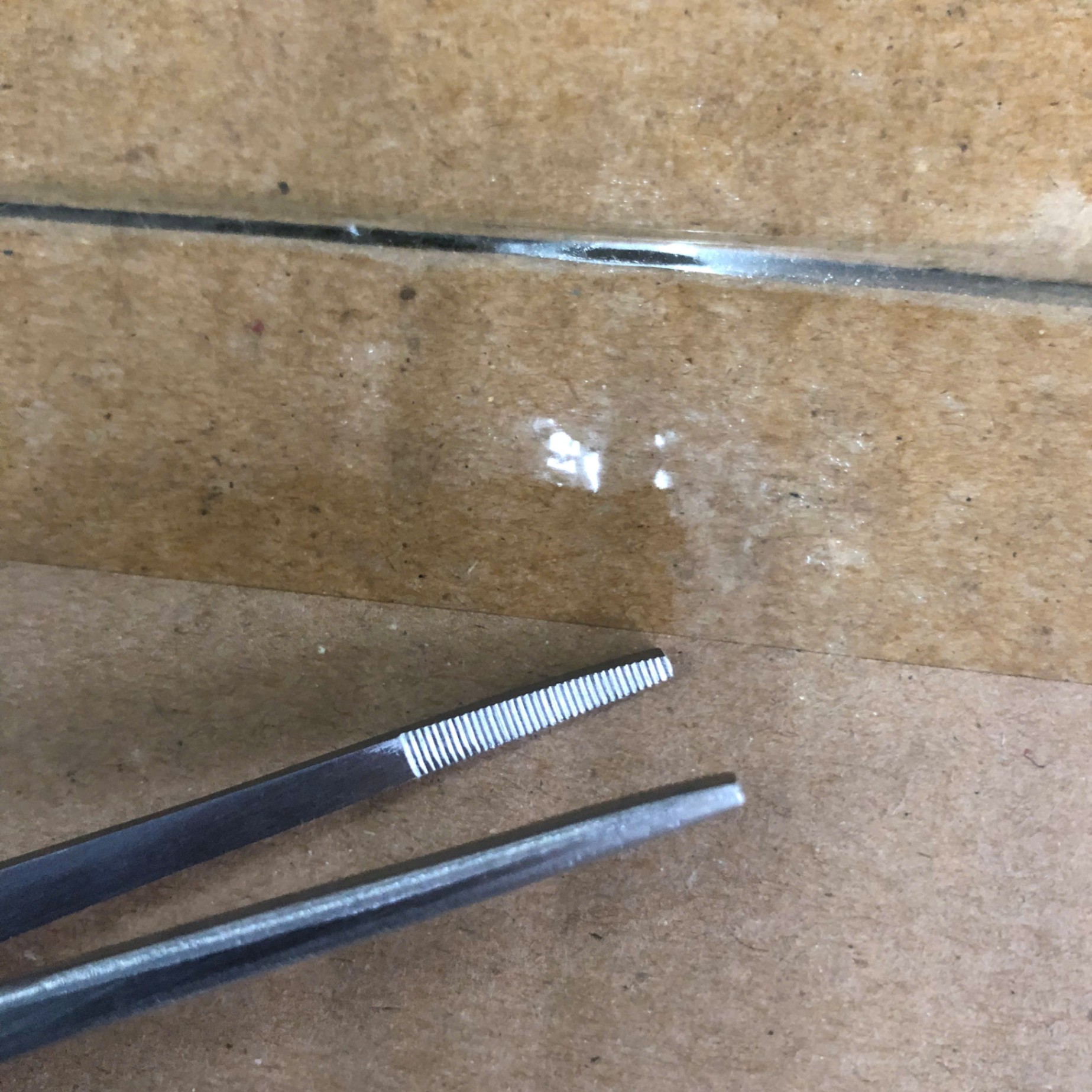 Nỉa không mấu 16cm, Prime Tech Surgico; Pakistan (Túi =1 cái)