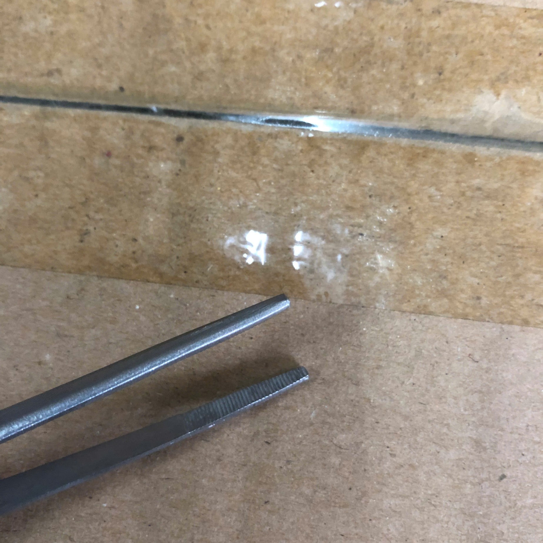 Nỉa không mấu 16cm, Prime Tech Surgico; Pakistan (Túi =1 cái)