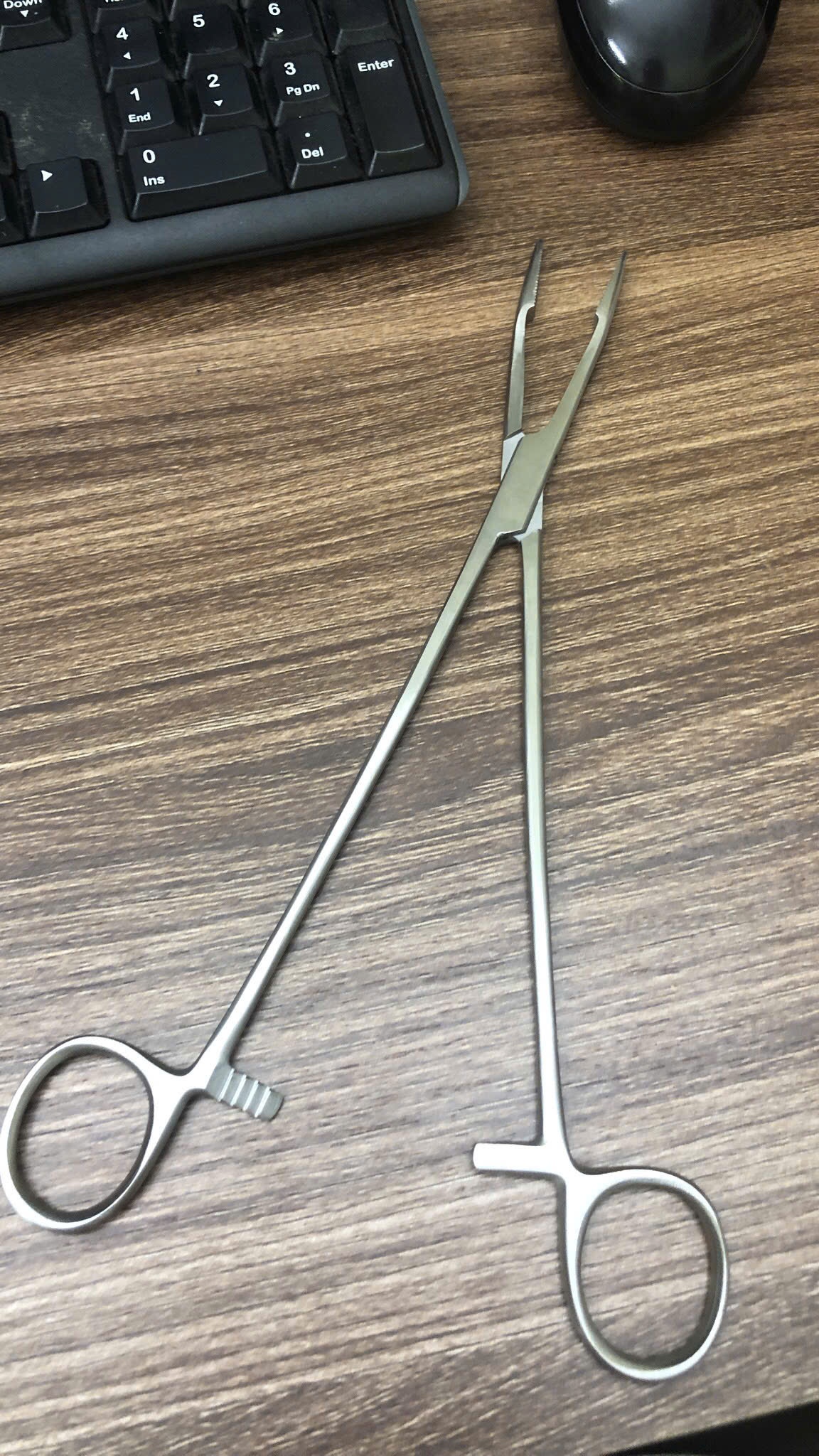 Panh kẹp bông đầu rắn 24 cm