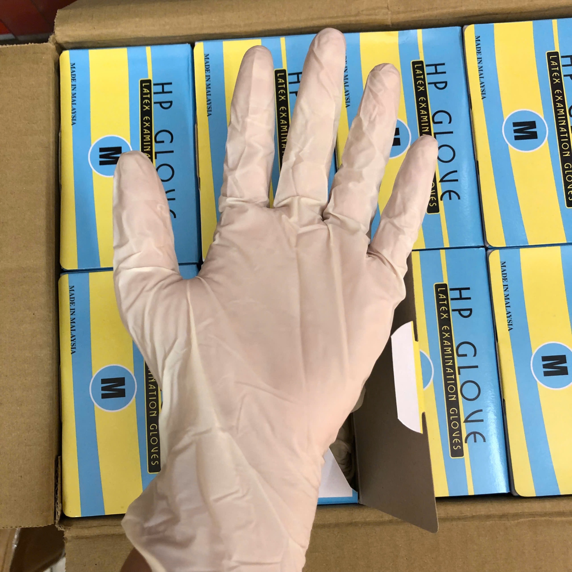 Găng tay khám có bột HP Glove - Malaysia (Hộp=50 đôi, Thùng=500 đôi)