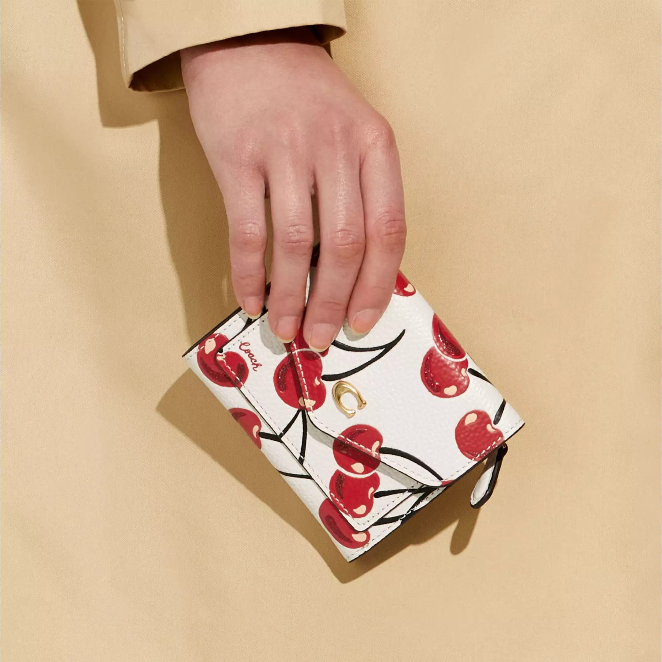 Ví Coach Wyn Small Wallet With Cherry Print CA160