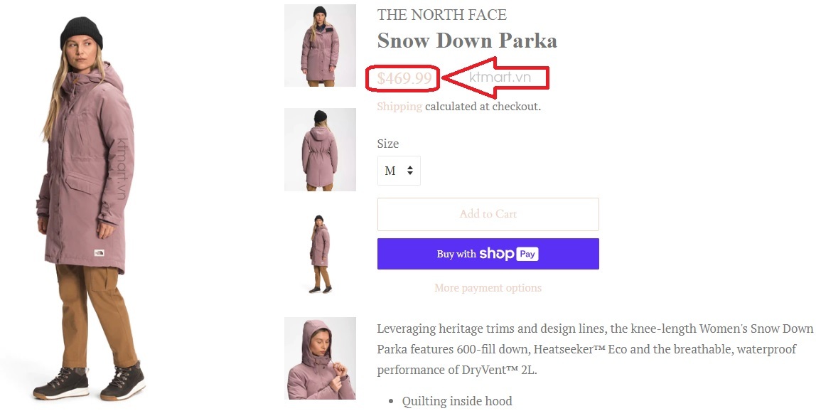 Ao-khoac-long-vu-The-North-Face-Women-s-Snow-Down-Parka-NF0A5AA4-size-M-15.jpg?v=1772766495