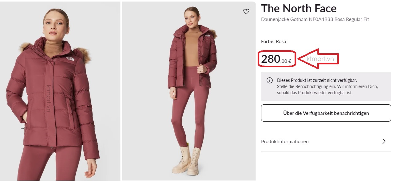 Ao-long-vu-The-North-Face-Women-s-Gotham-Jacket-NF0A4R33-size-S-1.jpg?v=1769651944