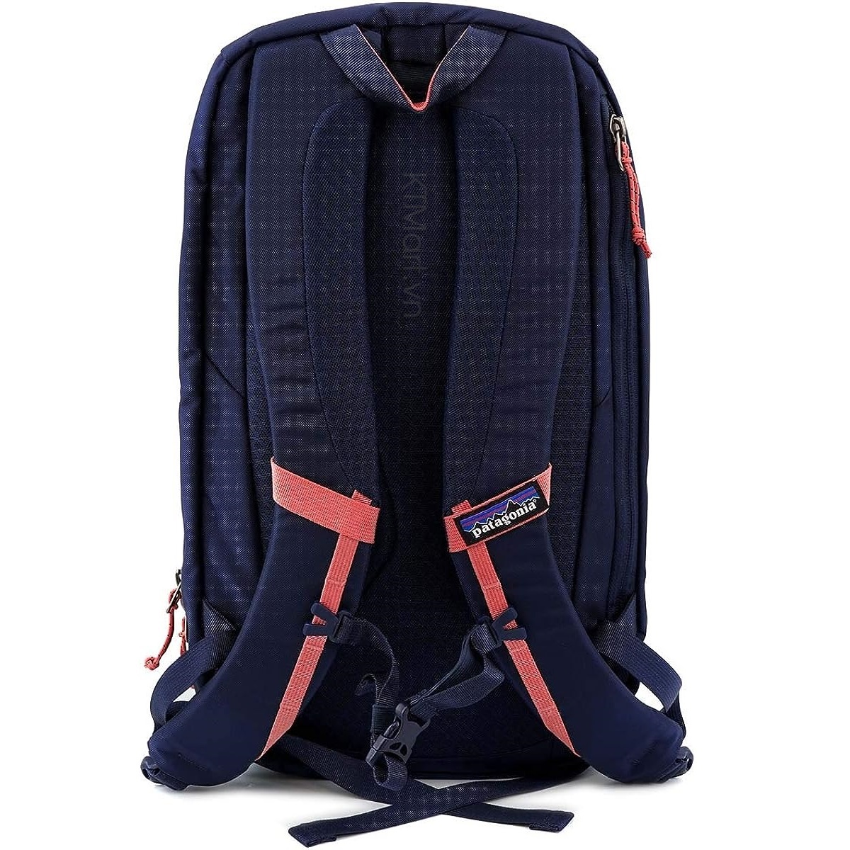 Ba-lo-Patagonia-Atom-Pack-18L-48290-26.jpg?v=1773821576