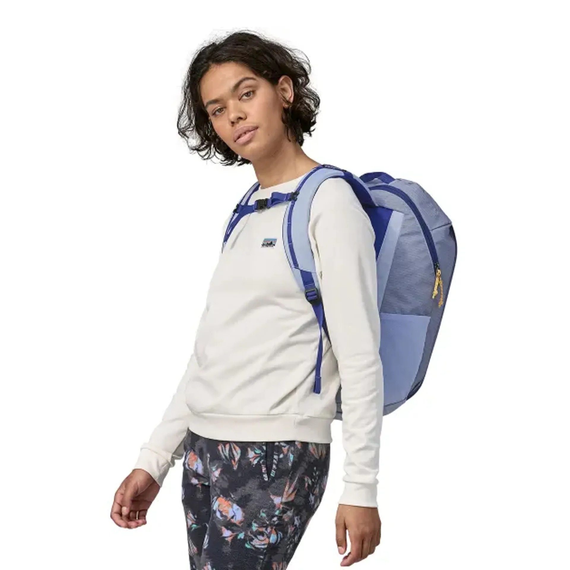 Patagonia Black Hole Pack 32L 49302 Pale Periwinkle ktmart 4.jpg