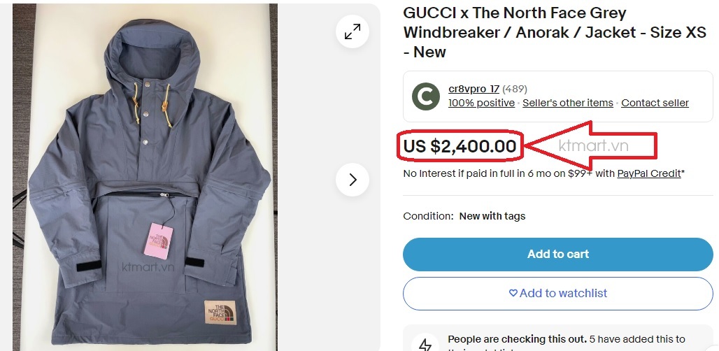 GUCCI-x-The-North-Face-Grey-Windbreaker-Grey-649246-size-M-1.jpg?v=1772765126