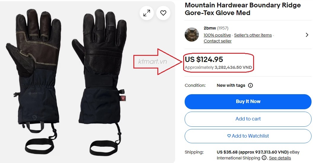 Mountain-Hardwear-Boundary-Ridge-Gore-Tex-Glove-1912771-size-XL-4.jpg