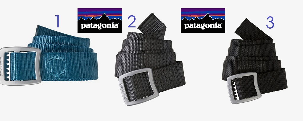 That-lung-Patagonia-Tech-Web-Belt-59194-20.jpg?v=1775100032